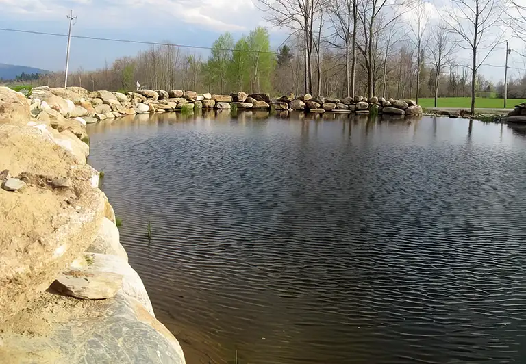 Ponds